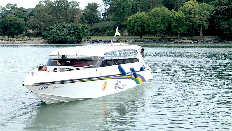 Phi Phi Tour speedboat 1 Day from Phuket